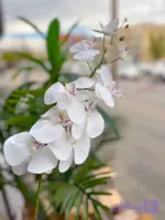 گل ارکیده مصنوعی