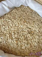 تخمه کدو درجه ۱ اعلا 1کیلویی | قیمت مناسب و کیفیت عالی | بارکوه
