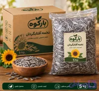 تخمه آفتابگردان ۵ کیلویی | قیمت مناسب و کیفیت خوب بارکوه