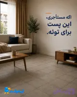 موكت اقتصادى