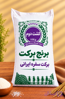 برنج کشت دوم فسفری
