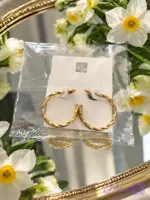 گوشواره حلقه ای پیچ پیچی