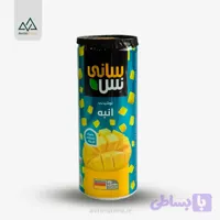 آبمیوه قوطی 240 گرم انبه سانی نس