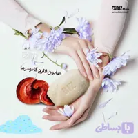 صابون قارچ گانودرما