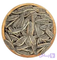 تخمه کانادایی شور