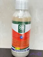 آتلانتیس رهپاک