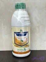 آتلانتیس هزاره سوم