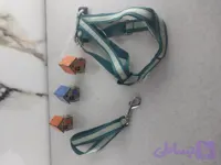 قلاده سگ (کد 6XVAY)
