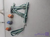 قلاده سگ