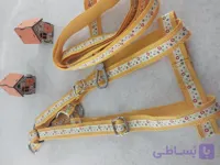 قلاده سگ