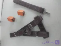 قلاده سگ