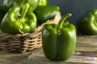 فلفل دلمه ای سبز