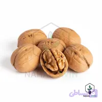 نهال گردو پدرو