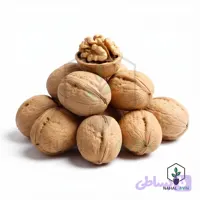 نهال گردو ژنوتیپ برتر تیپ ۷(نایلکسی)