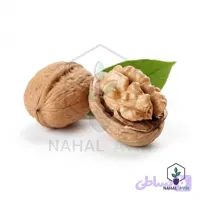 نهال گردو ژنوتیپ مراغه