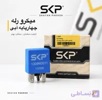 میکرو رله چهارپایه آبی