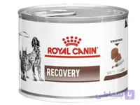 کنسرو غذای سگ و گربه رویال کنین رکاوری مدل Recovery Can با وزن 195 گرم