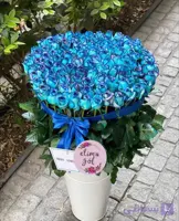 استند رز آبی مردانه