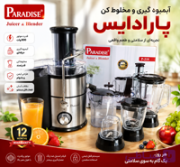 آبمیوه گیری ۴ کاره پارادایس مدل p212