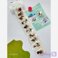 پک 6 عددی گیره مو دخترانه طرح پاپیونی وارداتی (کد 11OU7)