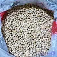 نخود سه خان کرمانشاه عمده بسته 30 کیلوگرمی