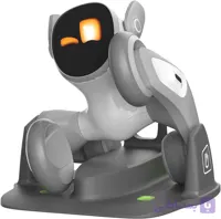 ربات لونا هوشمند PETBOT Loona همراه با داک شارژر