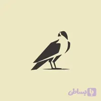 برچسب بدنه خودرو و سطوح سفید و رنگی مدل شاهین SH100
