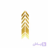برچسب بدنه خودرو رادیانس طرح Sp Goldکد B29 تولیدی مستر لوکسینو