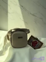 مینی بگ