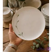 سرویس پذیرایی طرح زمزمه