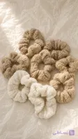 کش مو تدی