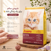 جوسرا کیتن