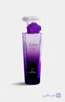 عطر ادکلن مینیاتوری envy میدنایت رز