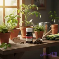 کود مایع اسید آمینه آمیفورت کیمیتک اسپانیا | احیای گیاه پس از تنش