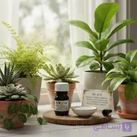کود مایع NK60 ایکس گرین آمریکا | رشد سریع و افزایش مقاومت گیاه