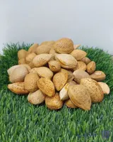 بادام درختی سنگی ارگانیک ثمرات یک کیلویی