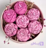 قالب سیلیکونی گل پیونی