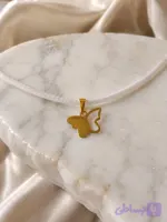 پلاک پروانه