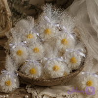 بابونه(10عددی)
