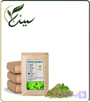 پودر پونه فله (کد UXYUV)