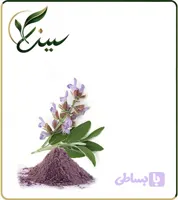 عصاره مریم گلی خشک (پودری) (کد 5LWJ9)