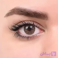 لنز چشم رویال ویژن مدل Daily شماره 11 رنگ Lumirere Hazel فندقی خاکستری دور دار