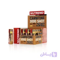 ال کارنیتین ناترند Nutrend Carnitine 3000 Shot