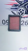 فیلتر هوا بنلی ۲۵۰ تک سیلندر