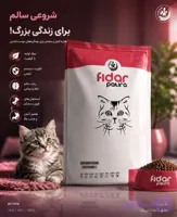 خوراک بچه گربه فیدار