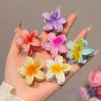 مینی کیلیپس پلومریا 2 عددی یک سانتی فانتزی کیوت پینترستی پرنسسی اکسسوری دخترانه گیره مو زنانه گل باربی استایل تابستانه