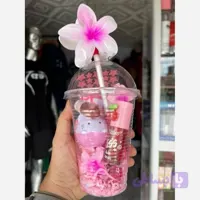 پک ایس پک 10 عددی مناسب کادو تولد هدیه روز عشق دوستی آیس پک