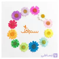 بابونه رنگی پرس شده وارداتی(۵ عددی)