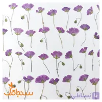 گل ژرانیوم (۱۰عددی)