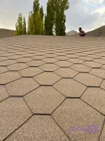 شینگل لانه زنبوری یا هگزا